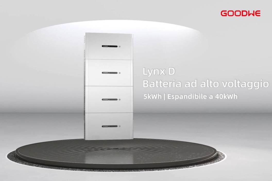 LynxD_IT_-784.jpg